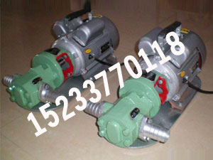 WCB微型手提式齿轮泵