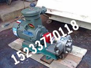 TCB防爆铜齿轮泵