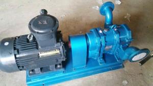 WZB无堵塞转子泵