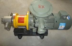 不锈钢磁力齿轮泵